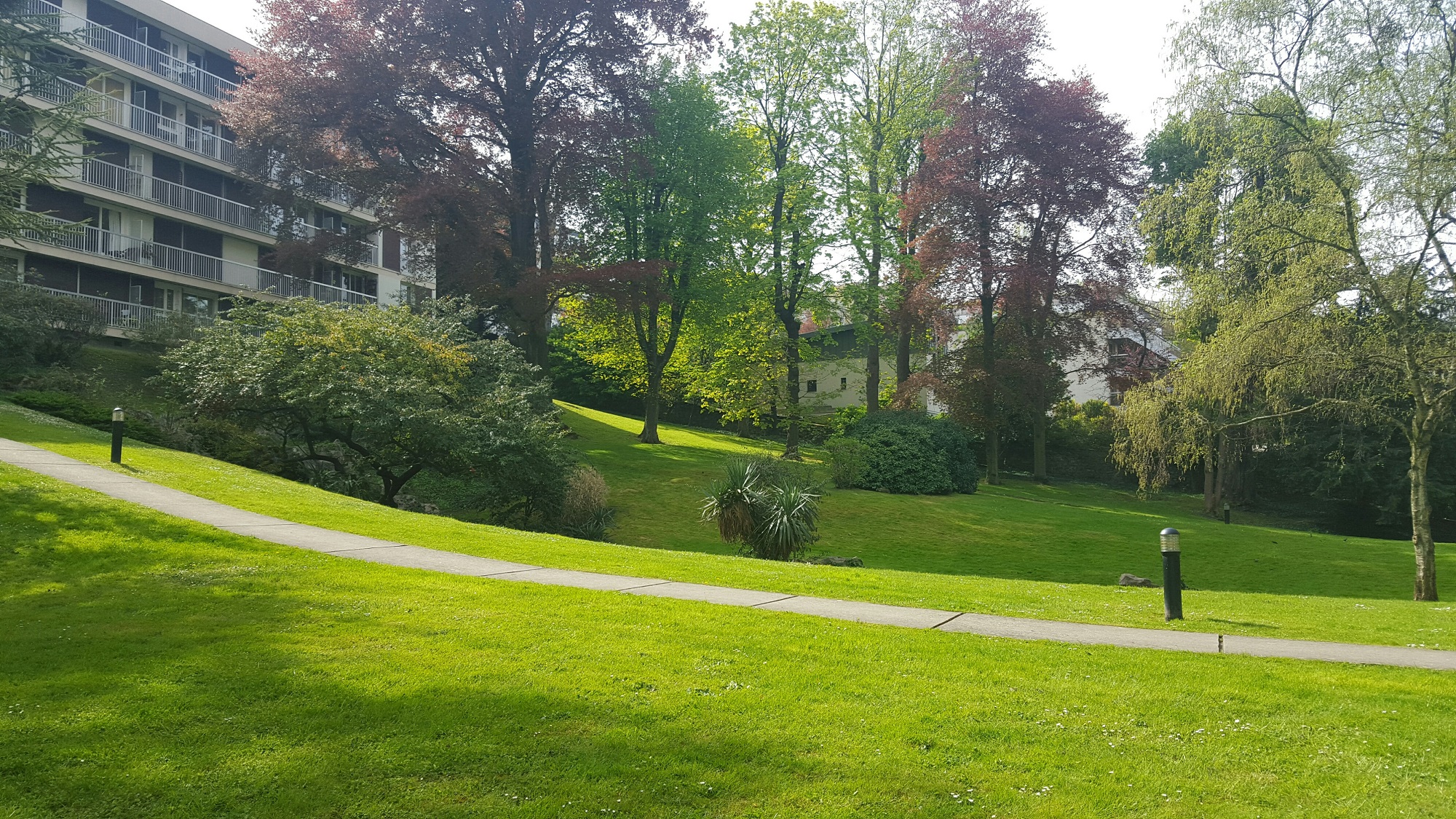 Un espace vert de copriété entretenu par nos soins, en Île-de-France.