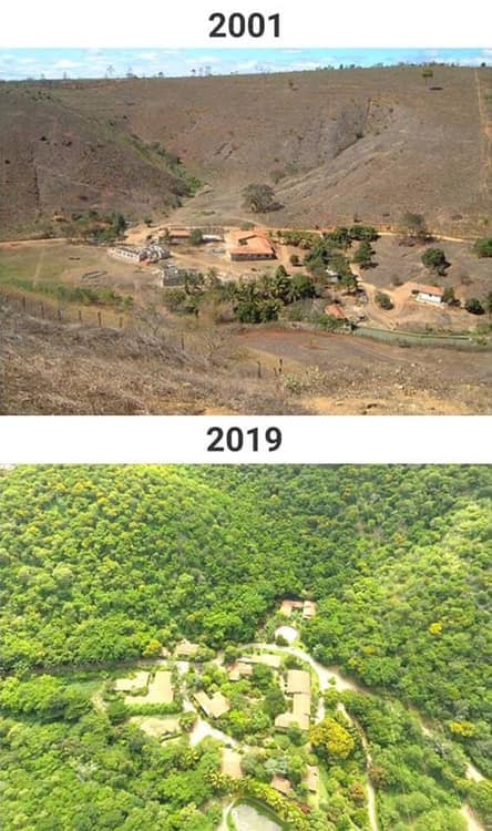 Historique des plantations â projets environnementaux durables chez LeliĂšvre