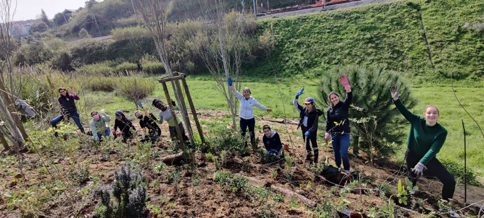 Projets environnementaux chez LeliÚvre : reforestation au Brésil