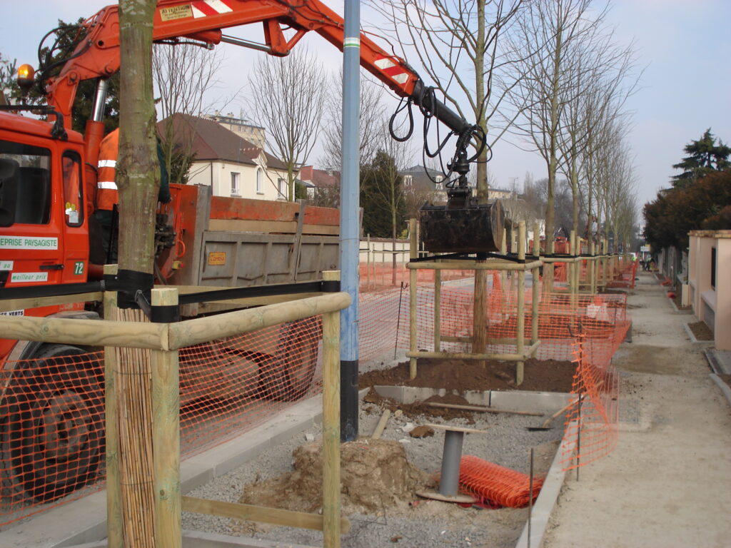 Terrassement et plantation d'arbres