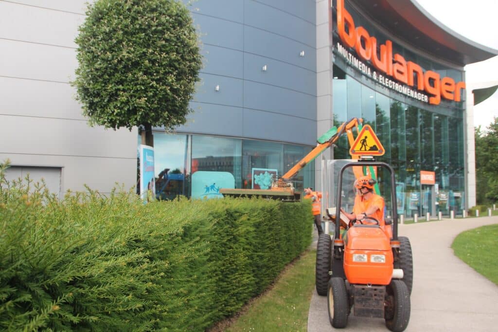 Taille de haies au lamier à Boulanger de Villiers-sur -Marne