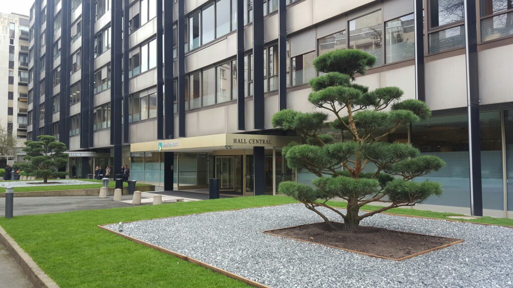 Décoration d'une devanture d'entreprise