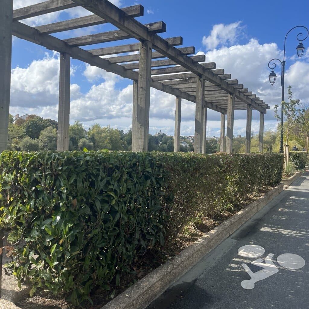 Haies taillées aux bords de marne de Bry-sur-Marne (94)