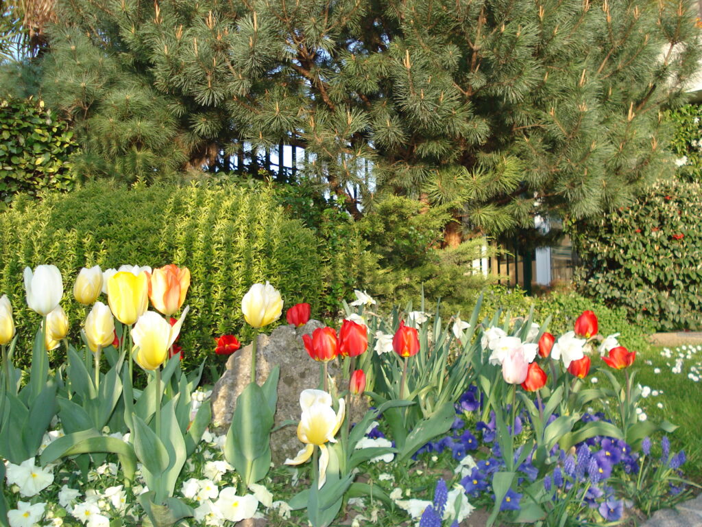 Fleurissement d'entreprises