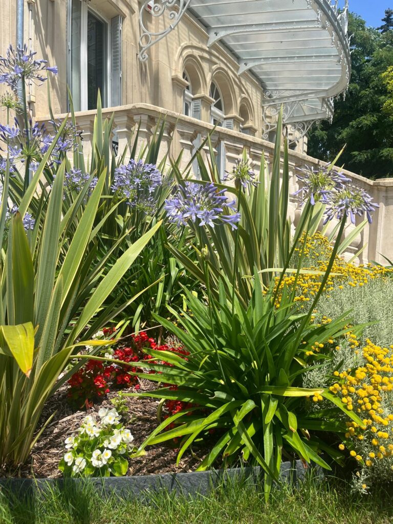 Massif bien entretenu