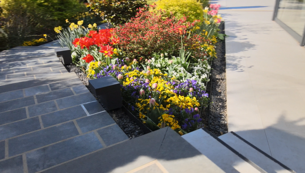 Plantation de fleurs dans jardin de particulier