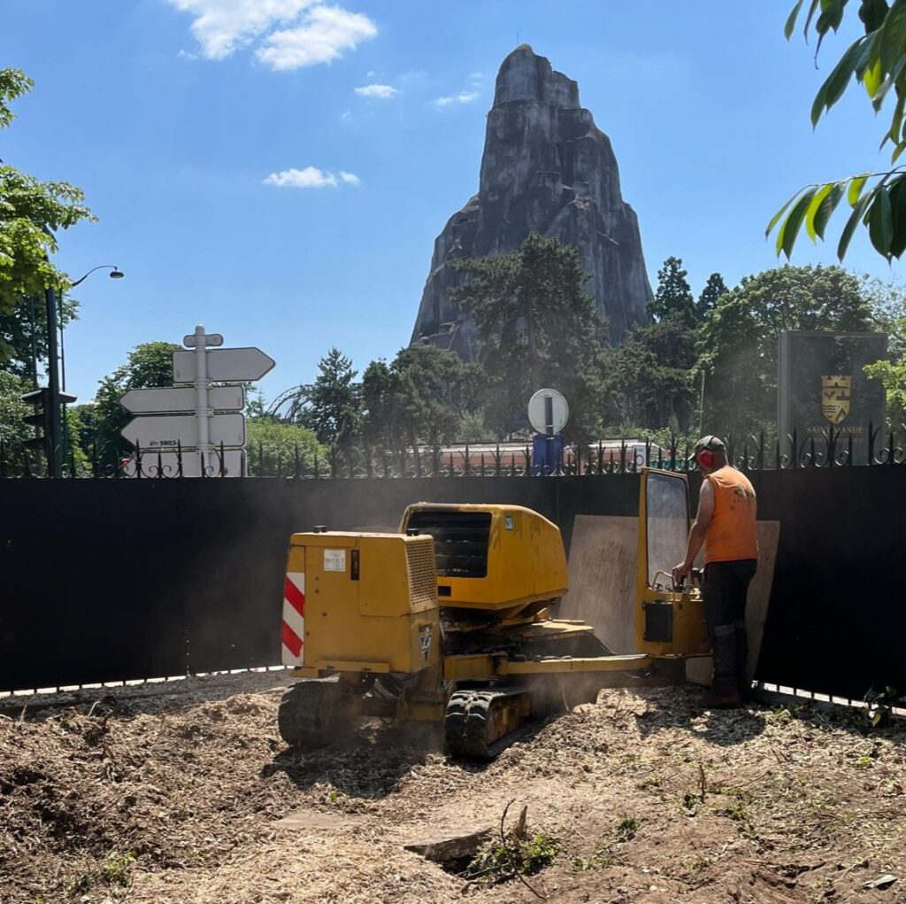 Rognage de souche en toute sécurité devant le zoo de Paris