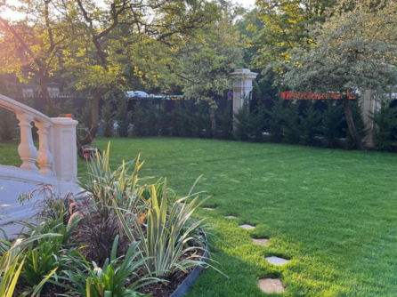 Pelouse de particuliers à Saint Mandé