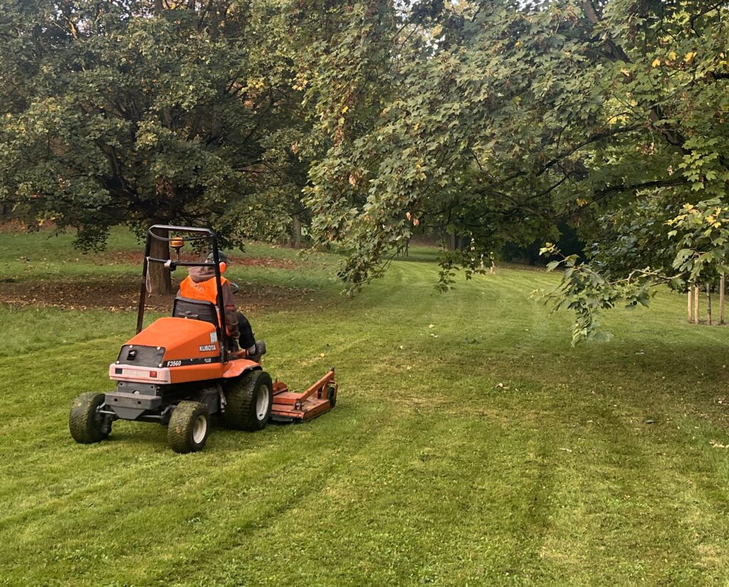 Tonte de pelouse du parc des coudrais, Bry sur marne (94)