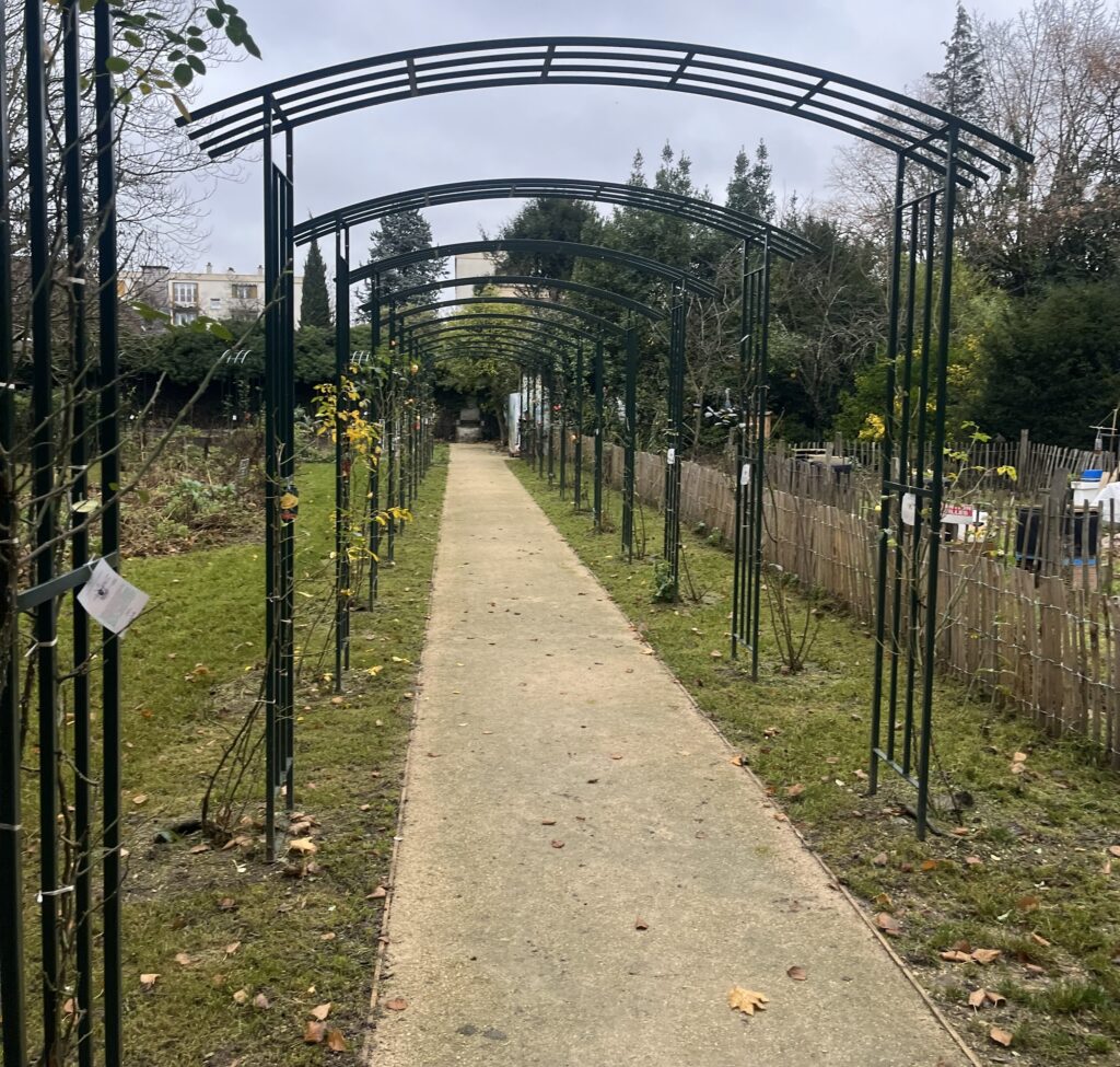 Allée piétonne et roseraie au Parc de la Villa Michot, à Villiers sur Marne