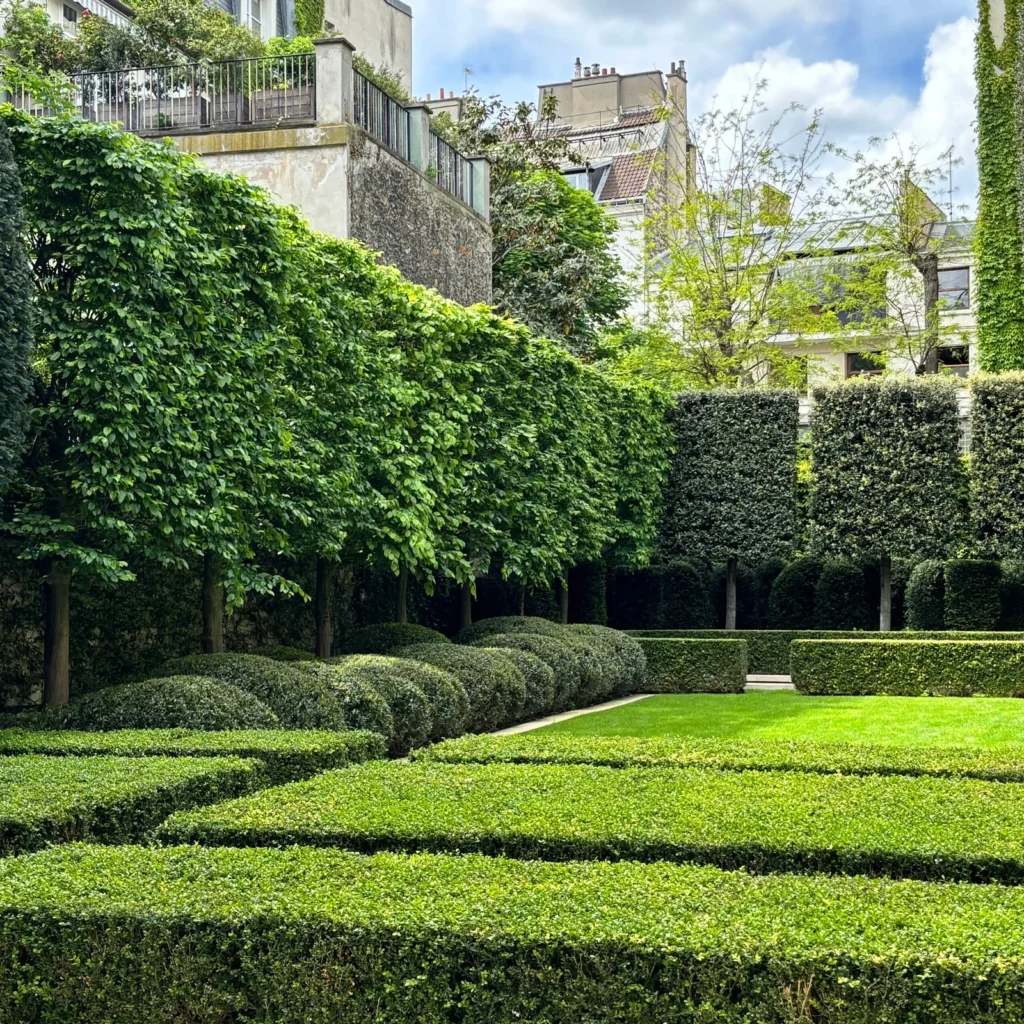 Plantation jardin paris