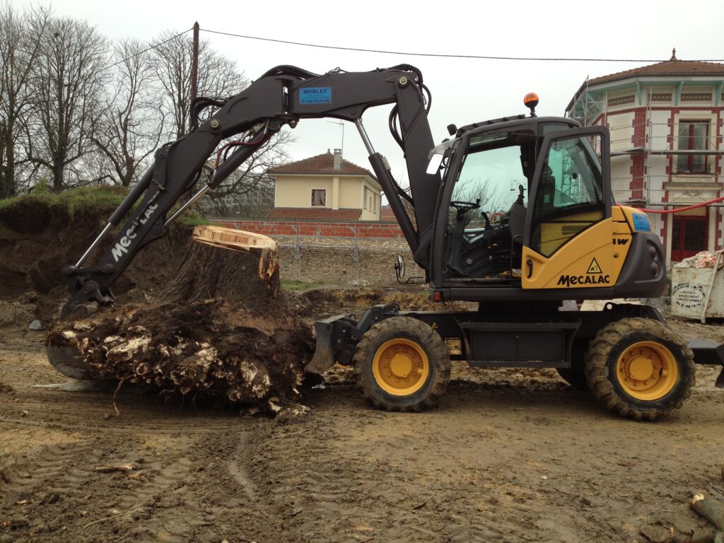 Souche d'un arbre de plus de 30 m de haut