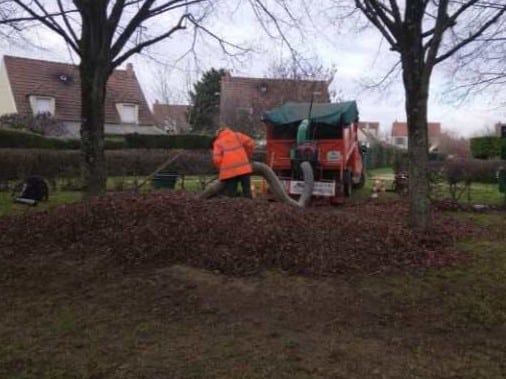 Ramassage de feuilles à l'aspirateur à Villiers sur Marne