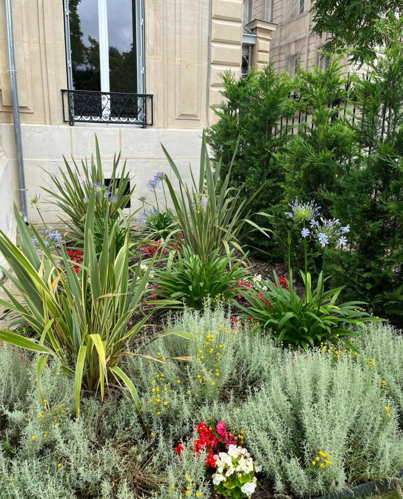 Plantation d'un massif d'arbustes à Vincennes (94)